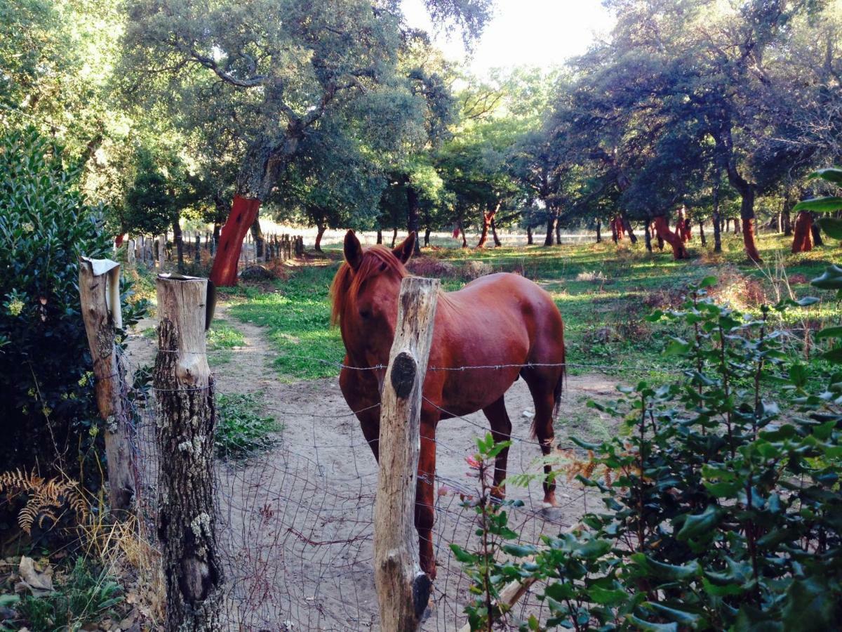 Agriturismo Pranu Sorgono Eksteriør bilde